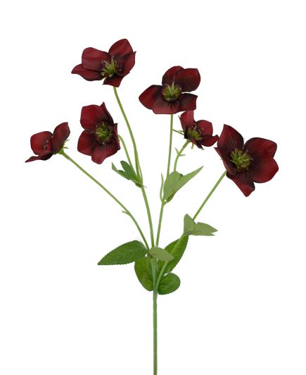 Hellebore Spray 60cm