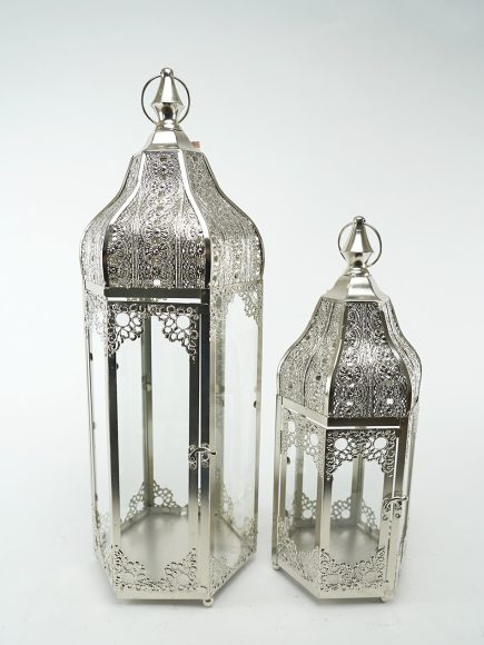 Fairy Lanterns 18.5S 23x63L