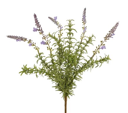 Lavender Bush 38cm