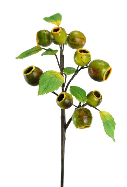 Gumnut Spray 40cm