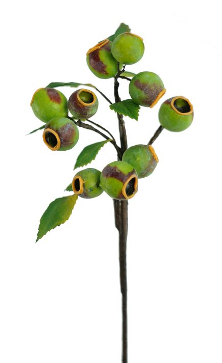 Gumnut Spray 40cm