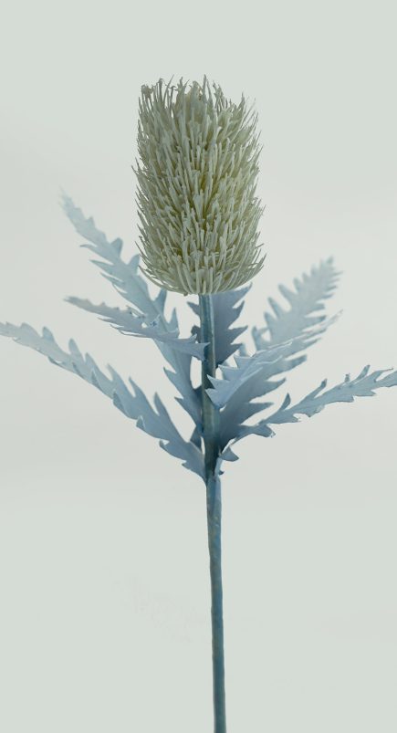 Banksia Stem 55cm