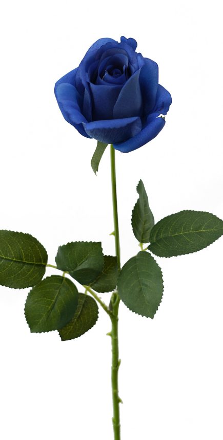 RT Valentines Roses 65cm