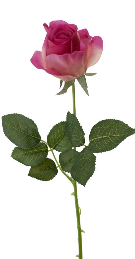 RT Valentines Roses 65cm