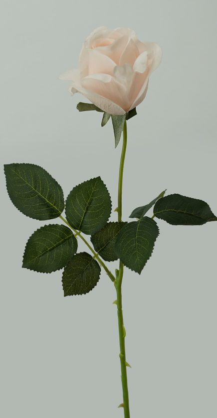 RT Valentines Roses 65cm