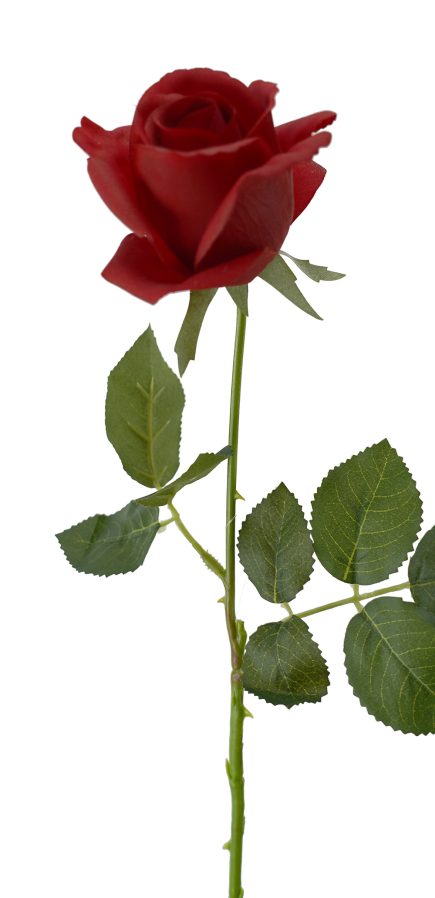 RT Valentines Roses 65cm