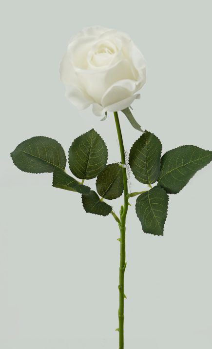 RT Valentines Roses 65cm