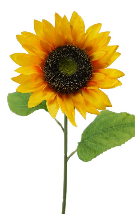 L Sunflower Stem 64cm