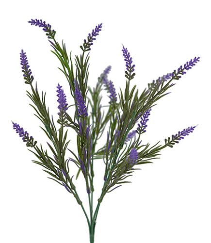 Lavender Bush 40cm