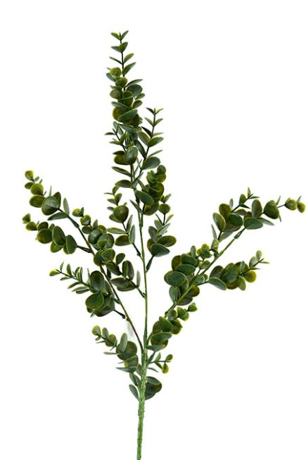 Eucalyptus Stem 78cm