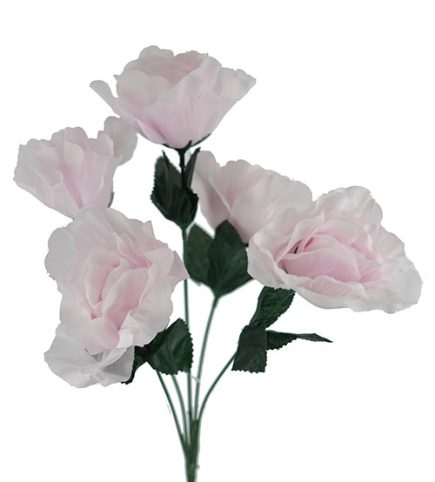 Iceberg Rose Bush 39cm