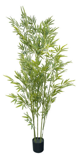 %Bamboo Tree 180cm