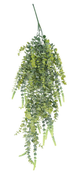 Euca Hanging Bush 78cm