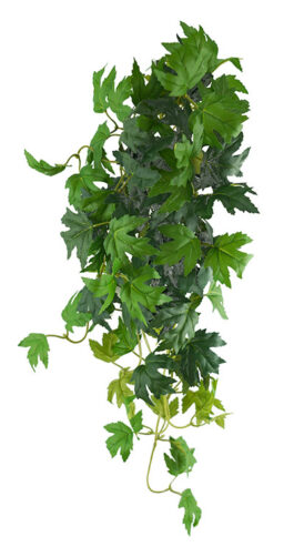 Maple Leaf Hanging Bush 70cm