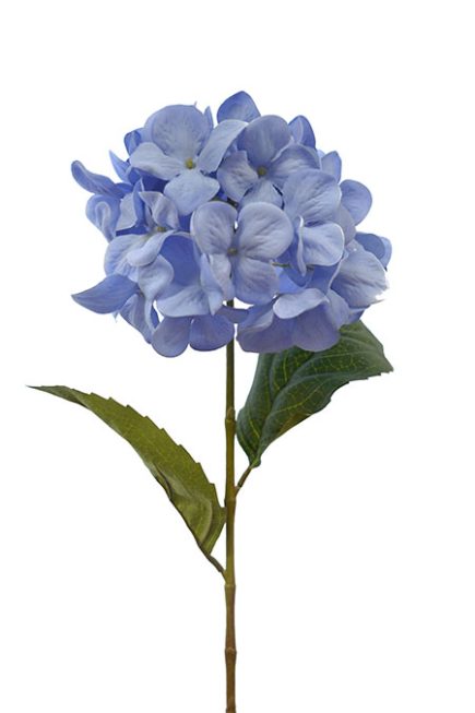 Hydrangea Stem 70CM