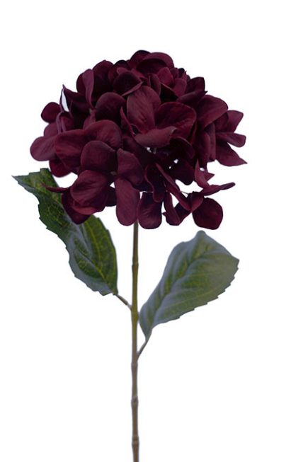 Hydrangea Stem 70CM