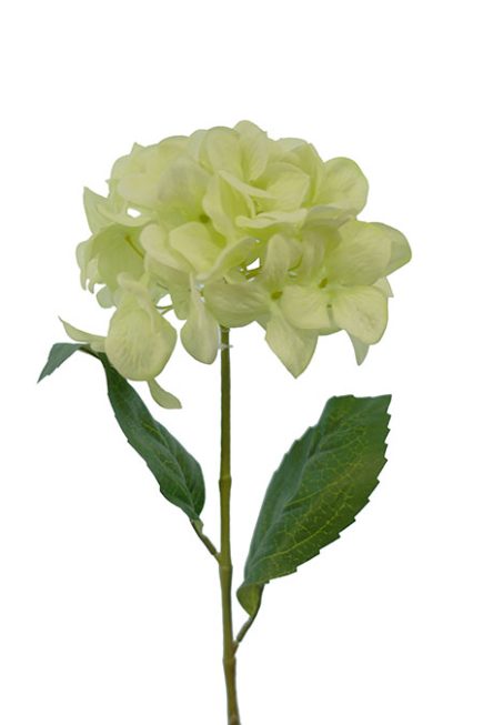Hydrangea Stem 70CM