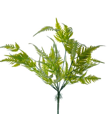 Fern Bush 40cm
