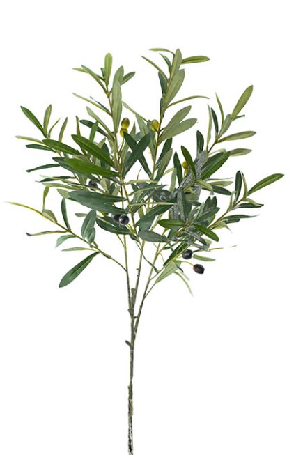 Olive Branch 90cm