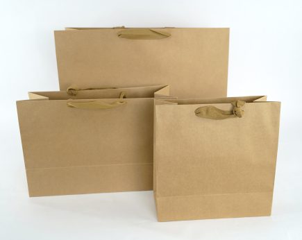 Kraft Gift Bag 38x25H