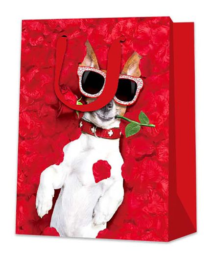 Cool Dog Gift Bag M 18x23H