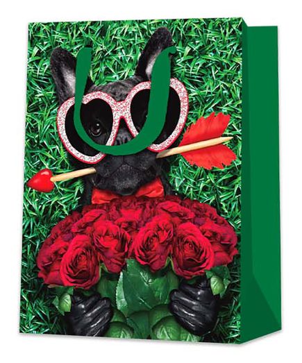 Cool Dog Gift Bag XL 31x42H