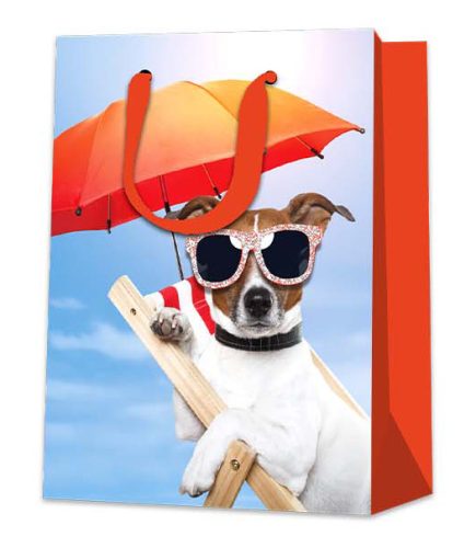 Cool Dog Gift Bag XL 31x42H
