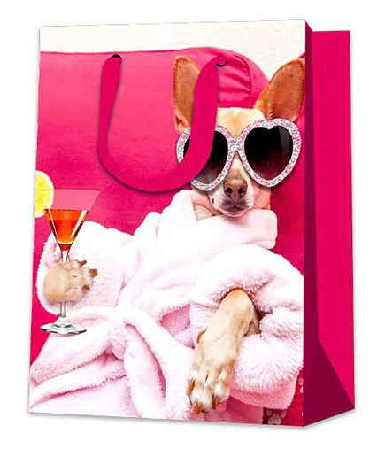 Cool Dog Gift Bag XL 31x42H
