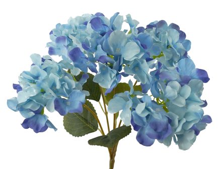 5H Hydrangea Bush 45cm