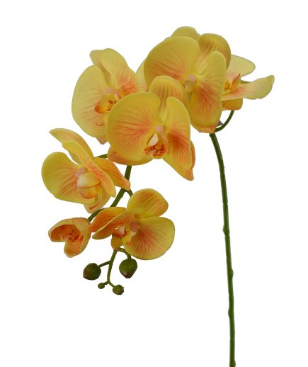 RT 8H Orchid 96cm