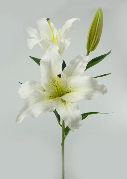 2H Lily Spray 82cm