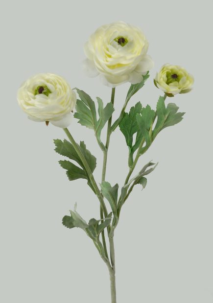 Ranunculus Spray 50cm