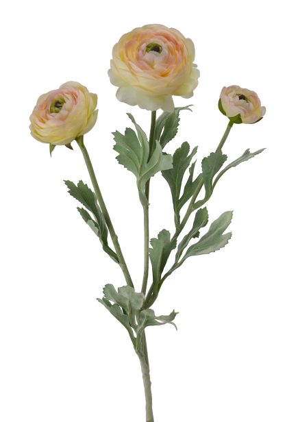 Ranunculus Spray 50cm