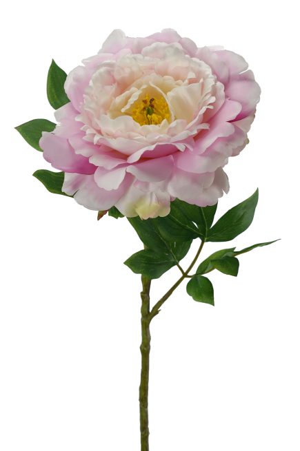 Peony Stem 74cm