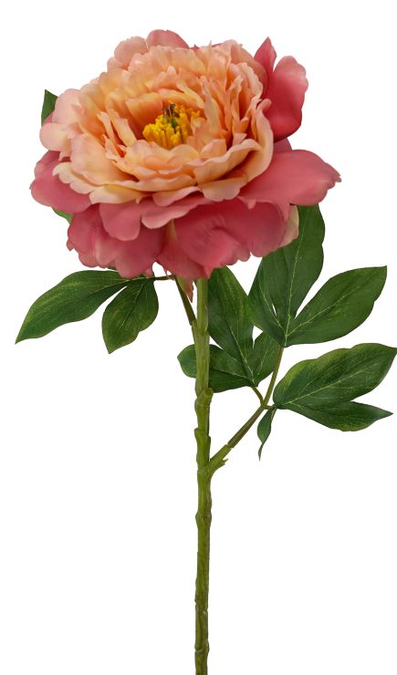 Peony Stem 74cm