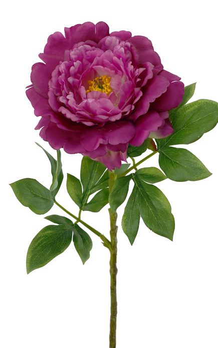 Peony Stem 74cm
