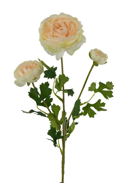 3H Ranunculus 61cm