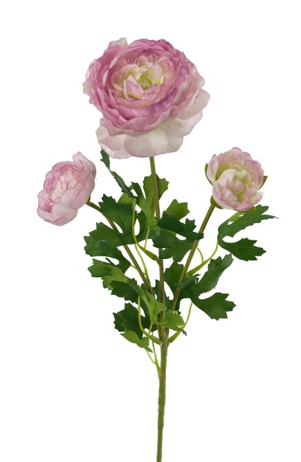 3H Ranunculus 61cm