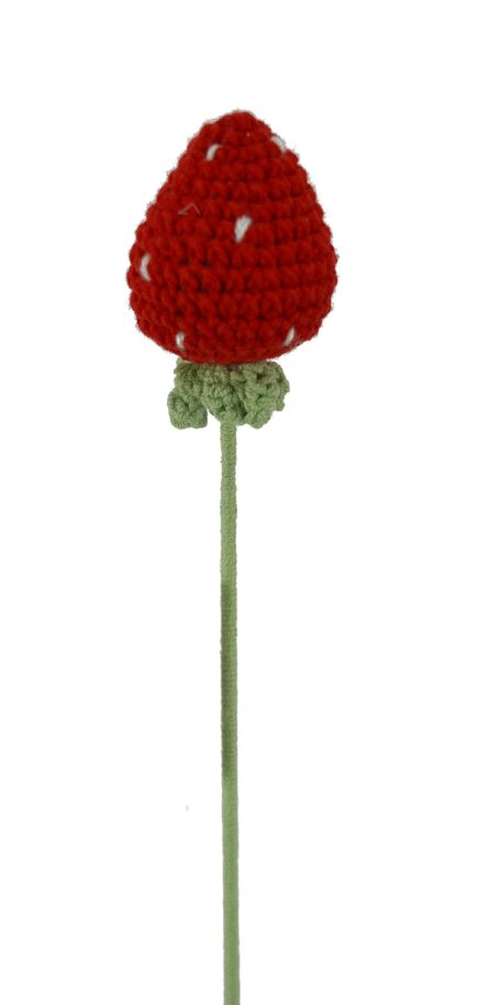 Strawberry Stem 33cm