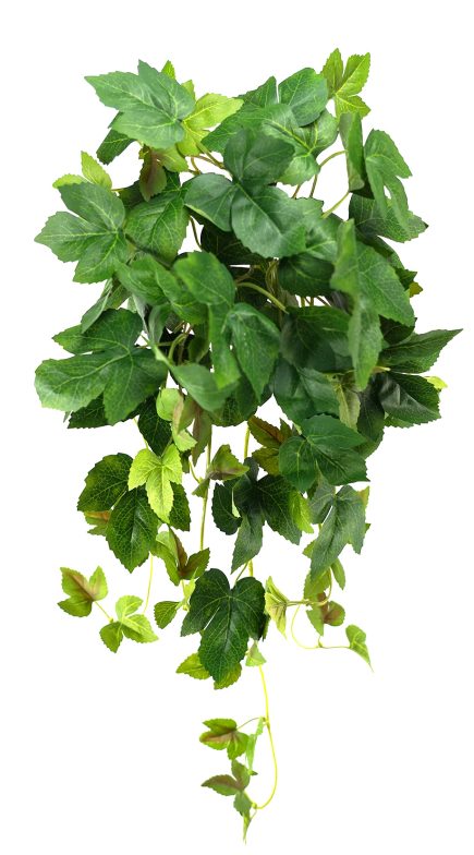 Ivy Hanging Bush 70cm