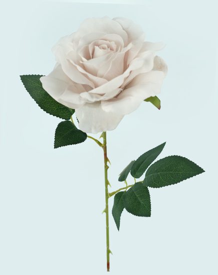 Lady Velvet Rose Stem 54cm