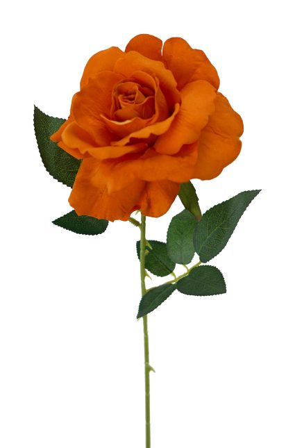 Lady Velvet Rose Stem 54cm