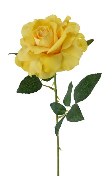 Lady Velvet Rose Stem 54cm