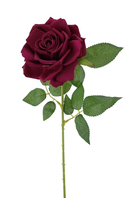 Berverly Velvet Rose stem 77cm