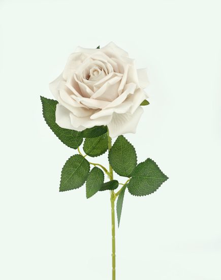 Berverly Velvet Rose stem 77cm