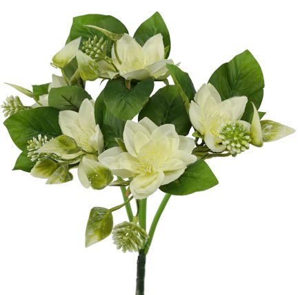 Mini Lotus Bush 33cm