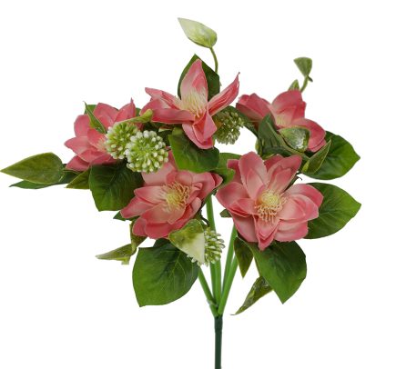 Mini Lotus Bush 33cm