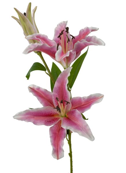Lily Spray 76cm