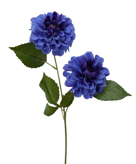 Wild Dhalia Spray 62cm