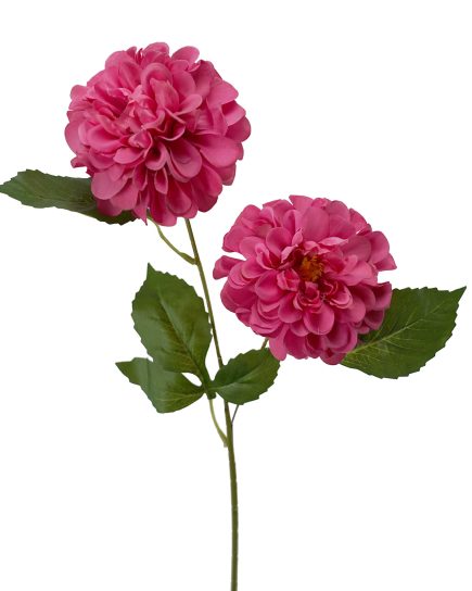 Wild Dhalia Spray 62cm